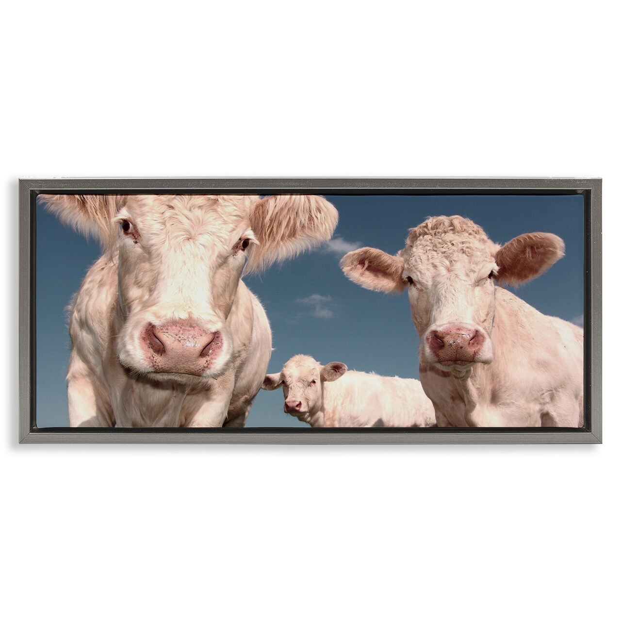 Stupell Industries Three White Cows Framed Floater Canvas Wall Art